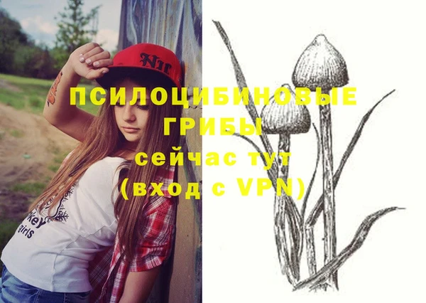 мдпв Гусь-Хрустальный