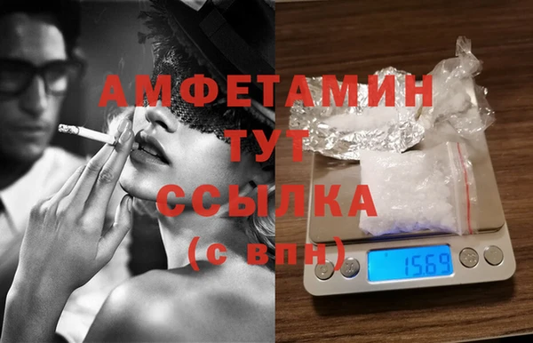 ECSTASY Кедровый