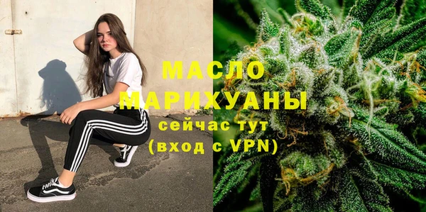 мдпв Гусь-Хрустальный