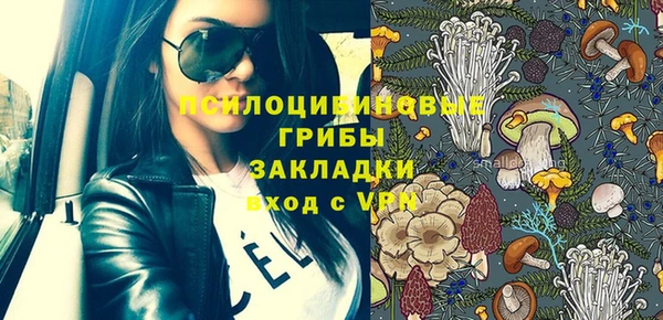 дмт Гусиноозёрск