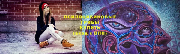 дмт Гусиноозёрск