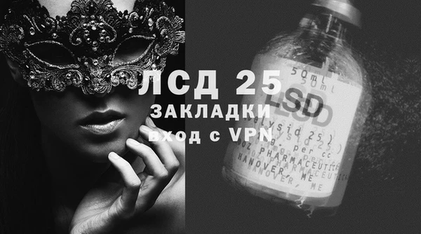 мдпв Гусь-Хрустальный